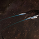Image for article titled What does the Star Trek game reveal about the destiny of the Vulcans?